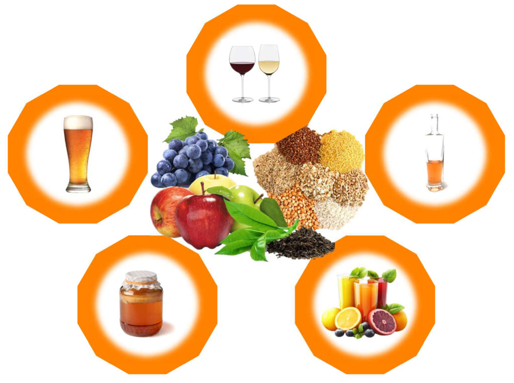 Group of fruits and vegetables with different fermented drinks around it.